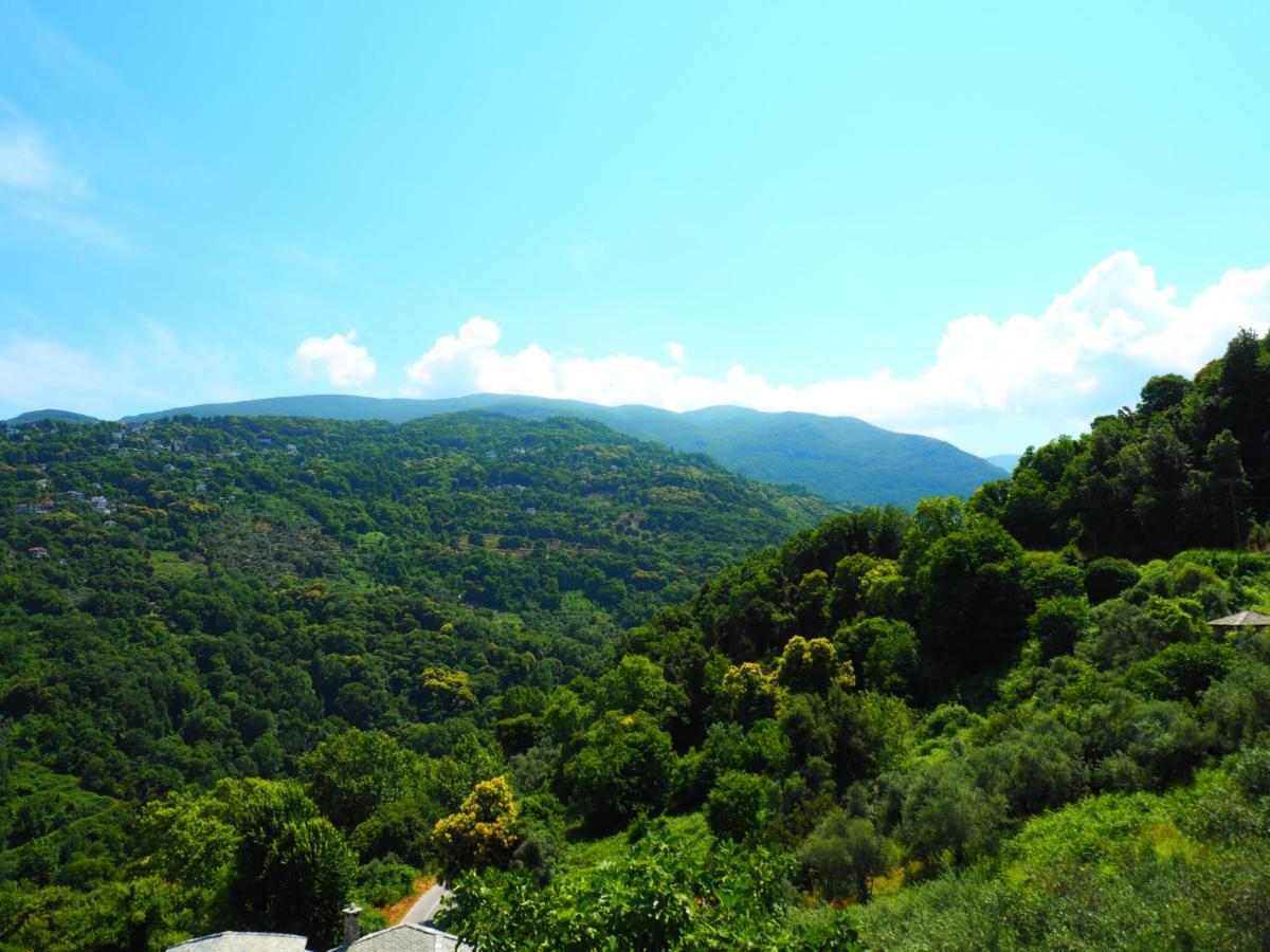 Felitsia Apartments & Studios Agios Ioannis  Экстерьер фото