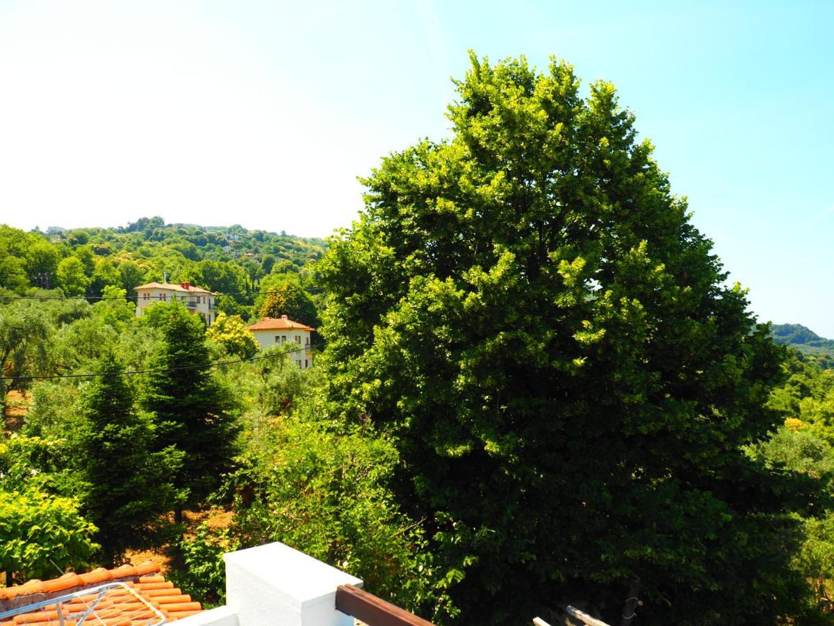 Felitsia Apartments & Studios Agios Ioannis  Экстерьер фото