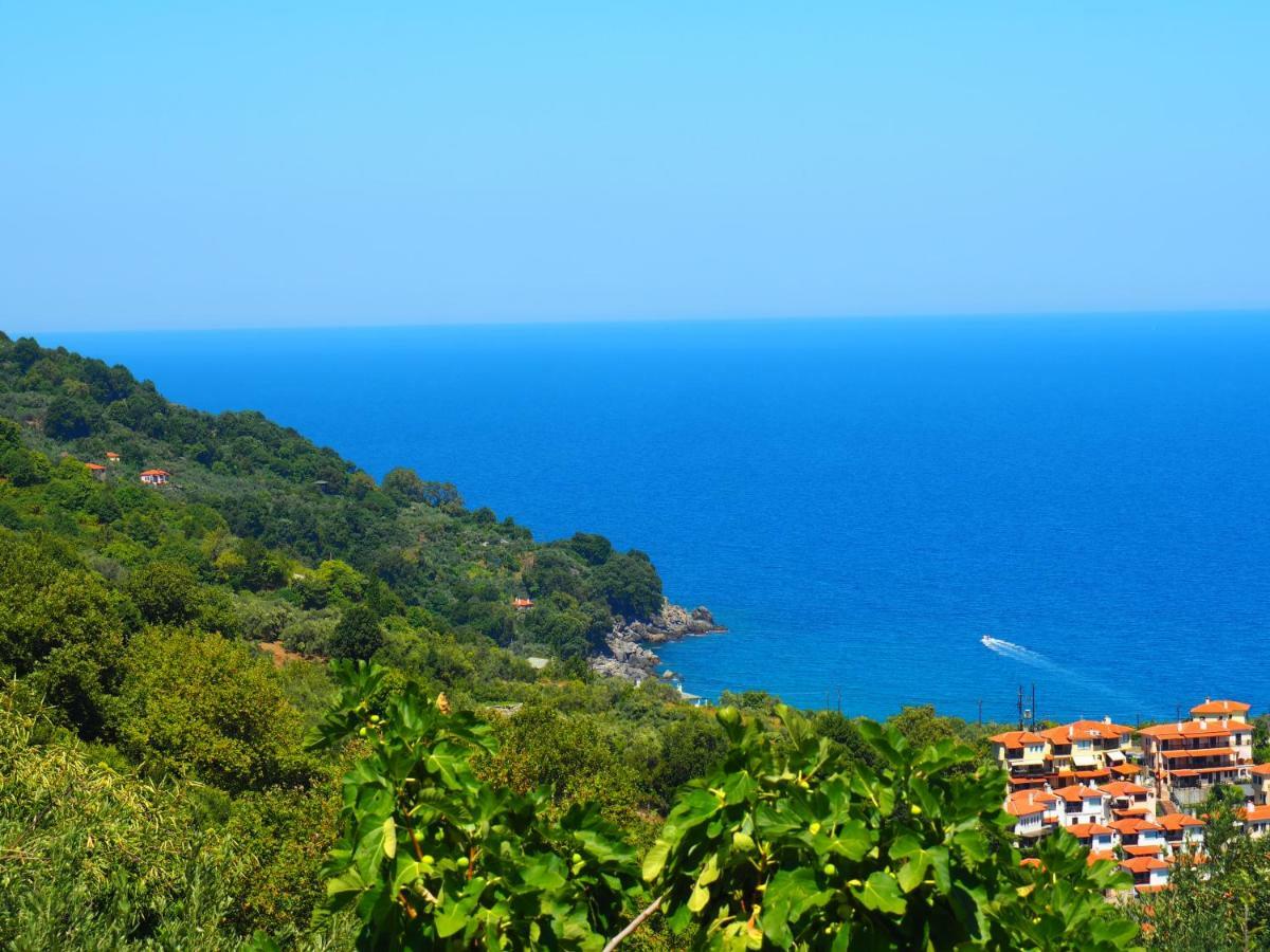 Felitsia Apartments & Studios Agios Ioannis  Экстерьер фото