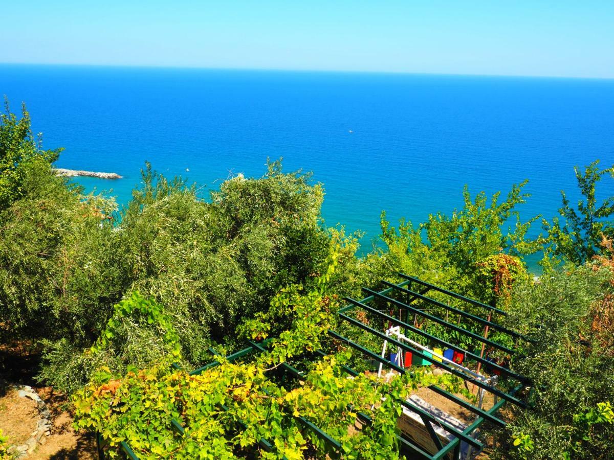 Felitsia Apartments & Studios Agios Ioannis  Экстерьер фото
